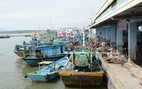 Bình Thuận tăng cường việc chống khai thác hải sản bất hợp pháp