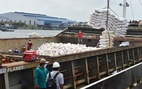 'Xù' bán gạo vẫn được đấu thầu mua gạo dự trữ?