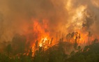 Nước Mỹ đối phó thiên tai: bão một bên, cháy rừng một bên