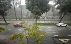 TP.HCM mưa sớm do gió đông bắc mạnh lên