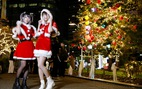 Nhật Bản ngừng cho phép người nước ngoài nhập cảnh do biến thể Omicron