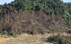 Đốt thực bì rừng phòng hộ trồng rừng thay thế gây cháy rừng?
