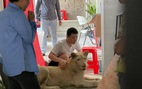 Campuchia bắt người Trung Quốc nuôi sư tử ngay ở Phnom Penh