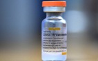 Singapore: Người dị ứng vắc xin mRNA có thể tiêm Sinovac