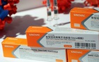 Singapore công nhận Sinopharm và Sinovac, tính vào diện ‘đã tiêm’ vắc xin COVID-19
