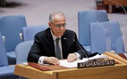 Đại sứ Afghanistan tại Liên Hiệp Quốc tố cáo Taliban vi phạm nhân quyền