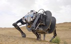 Robot 4 chân lớn nhất thế giới, có thể vác hàng nặng 160kg