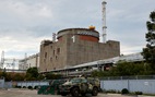Tổng giám đốc nhà máy điện hạt nhân lớn nhất châu Âu Zaporizhzhia bị bắt
