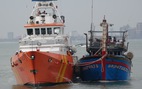 Cứu 13 thuyền viên gặp nạn trên vùng biển Quảng Trị do ảnh hưởng bão số 7