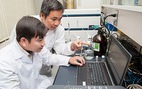 Nhà khoa học Việt tìm ra chất ức chế tế bào ung thư máu từ vỏ trấu