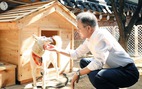 Cựu tổng thống Hàn Quốc sẽ trả chính phủ cặp chó quý Triều Tiên tặng