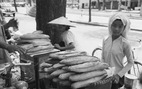 Bánh mì Việt ký sự - Kỳ 1: Tàu to, súng lớn và... bánh mì
