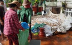 Hàng trăm tấn cá làng bè Châu Đốc chết hàng loạt, nghi nguồn nước ô nhiễm