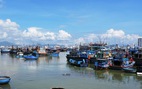 Czech hứa giúp Việt Nam gỡ thẻ vàng thủy sản