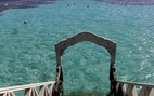 Tạm đóng cửa các bãi biển ở Biển Đỏ sau vụ cá mập tấn công du khách