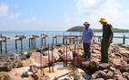 Lập biên bản các công trình xây dựng trái phép ở khu bảo tồn biển Phú Quốc