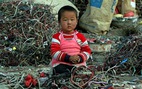 Trung Quốc - bãi rác thải điện tử lớn nhất thế giới