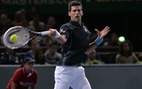 Djokovic vô địch Giải Paris Masters 2013