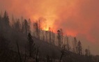 Chùm ảnh cháy rừng dữ dội ở California