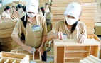 Ấn Độ thẩm tra tại chỗ doanh nghiệp sản xuất gỗ MDF của VN