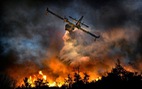 ​Indonesia đối phó với "mùa" cháy rừng