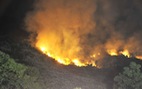 ​Nhiều địa phương có mức cảnh báo cháy rừng cực kỳ nguy hiểm