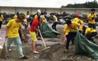Thu Minh dọn rác ở biển cùng bạn trẻ