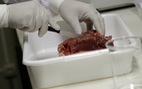 ​Nhiều nước ngừng nhập khẩu thịt của Brazil