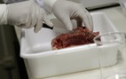 Xem xét tạm ngừng nhập khẩu thịt từ Brazil