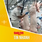 Tin tức sáng 23-5: Đề xuất phương án góp vốn cho sàn giao dịch thịt heo TP.HCM trong tháng 5