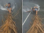 Thanh niên dùng mo cau lướt trên đường ngập ở Sài Gòn