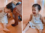 Hài hước bé gái cố tình va đầu vào bàn để ăn vạ ba mẹ mình