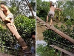 Ngã xuống sông vì trèo lên cây nhún giúp bạn chặt cây
