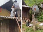 Nhảy từ mái nhà xuống đất vì để đầu trần đi bắt ong