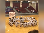 Khán giả reo hò với màn hóa trang những chú bò sữa nhảy dance