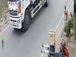 Chú chó đỏ nhất cuối năm, thoát chết 2 lần trong 3 giây