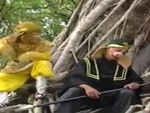 Ngộ Không và Trư Bát Giới song ca cải lương phiên bản 'tìm sư phụ'