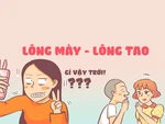 Tại sao cần phải có lông mày?