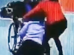 Cô gái 'phi thân' cứu cụ ông ngồi xe lăn trượt thang cuốn