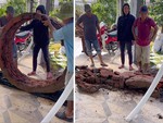 3 người đàn ông đứng nhìn nhau khi lăn vỡ bệ đựng cây cảnh