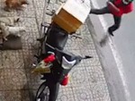 Shipper bị đàn chó rượt vì đập cửa gọi chủ nhà để giao hàng