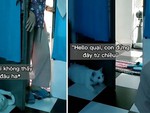 Chú mèo 'tàng hình' sau cánh cửa tưởng bà không thấy