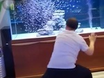 Người đàn ông múa quyền 'điều khiển' đàn cá trong bể kính