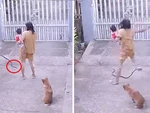 Người phụ nữ hú hồn khi 'bé Na' ở trong bụi cây lao vào chân