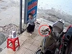 Bé gái vội chạy về với bố khi bị chó rượt