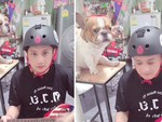 Chàng trai cùng chú chó diễn sâu cover bản nhạc siêu hài hước