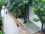 Hai bé trai chạy thục mạng vì trêu chó