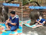 Voi con tinh nghịch giỡn nhây với anh nhân viên sở thú