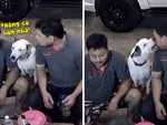 Người đàn ông ngã ngửa vì ngồi nhậu trêu chó