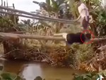 Chàng trai đi cầu khỉ bị bạn chơi khăm, ngã xuống kênh